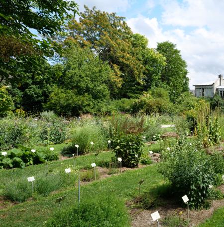 Photo du jardin des plantes/©François DECAENS