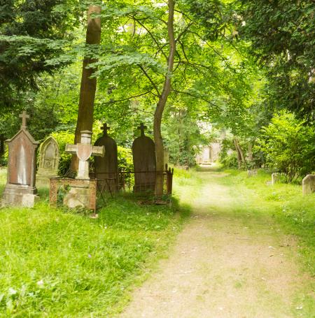 Cimetière des quatre nations d'après Pauline et Mehdi Photographie