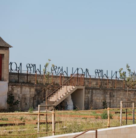 Iron Will d'après Cécile Schuhmann