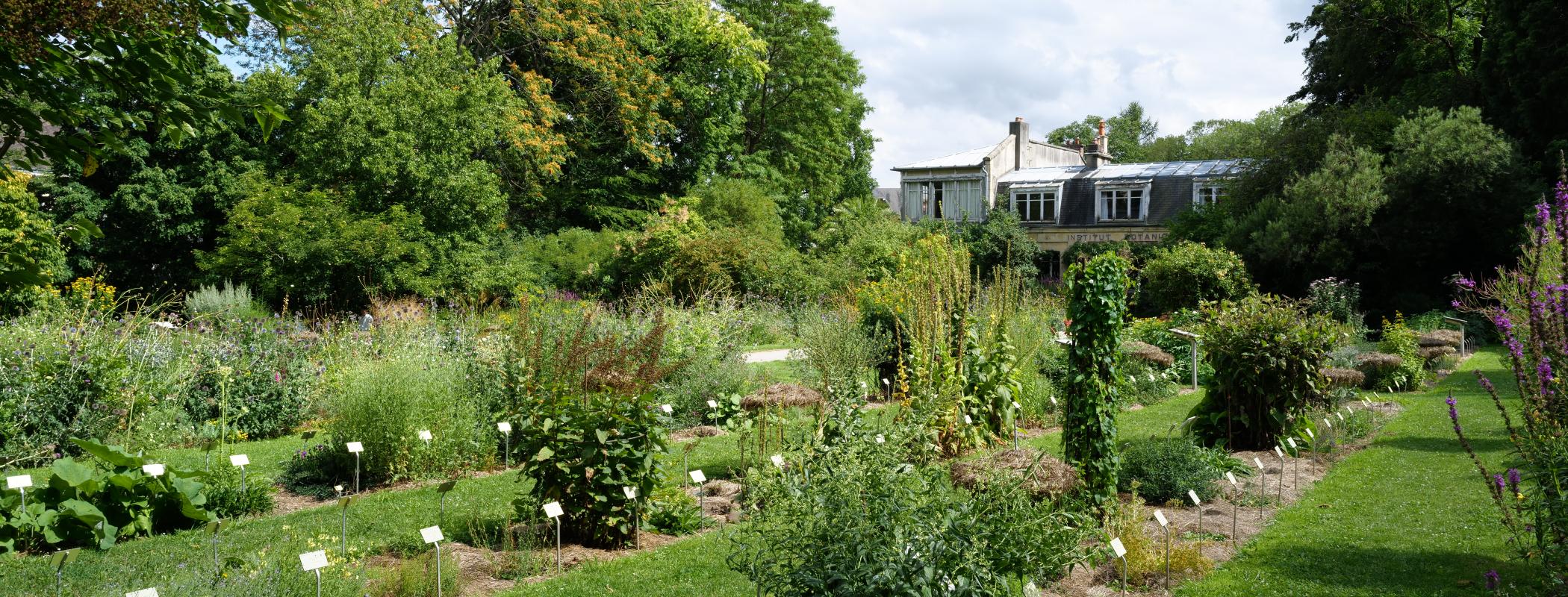 Photo du jardin des plantes/©François DECAENS