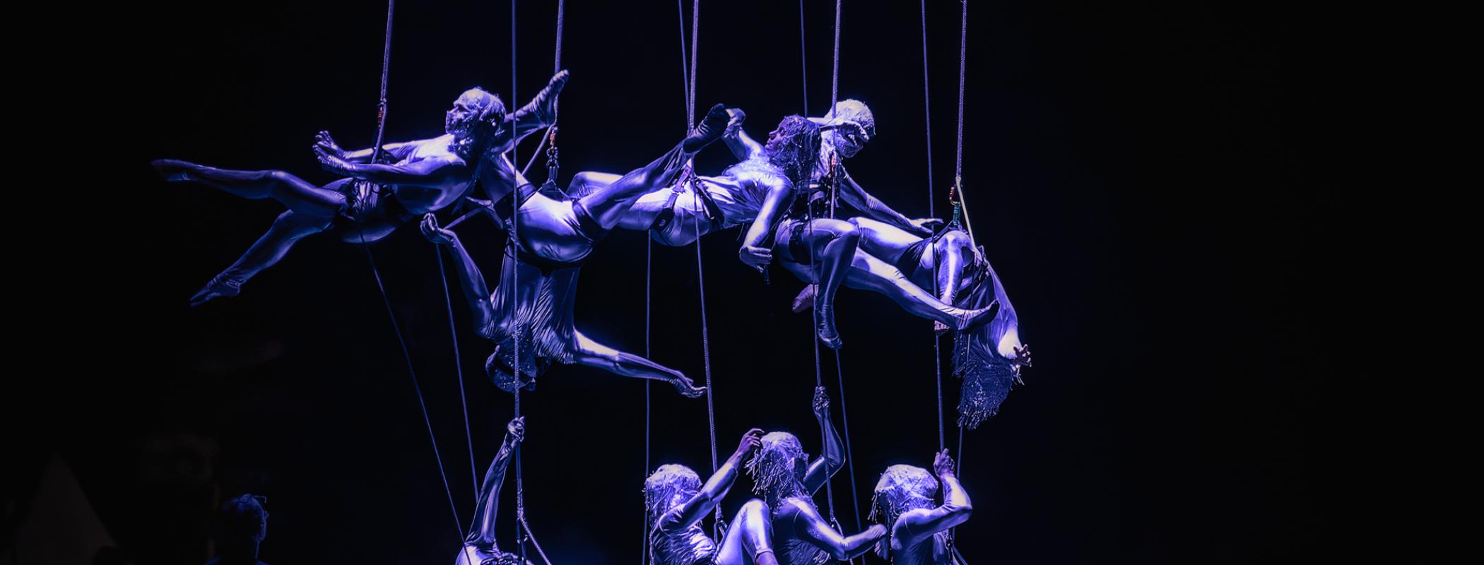 ©Valeria Seznam - Aquanauts