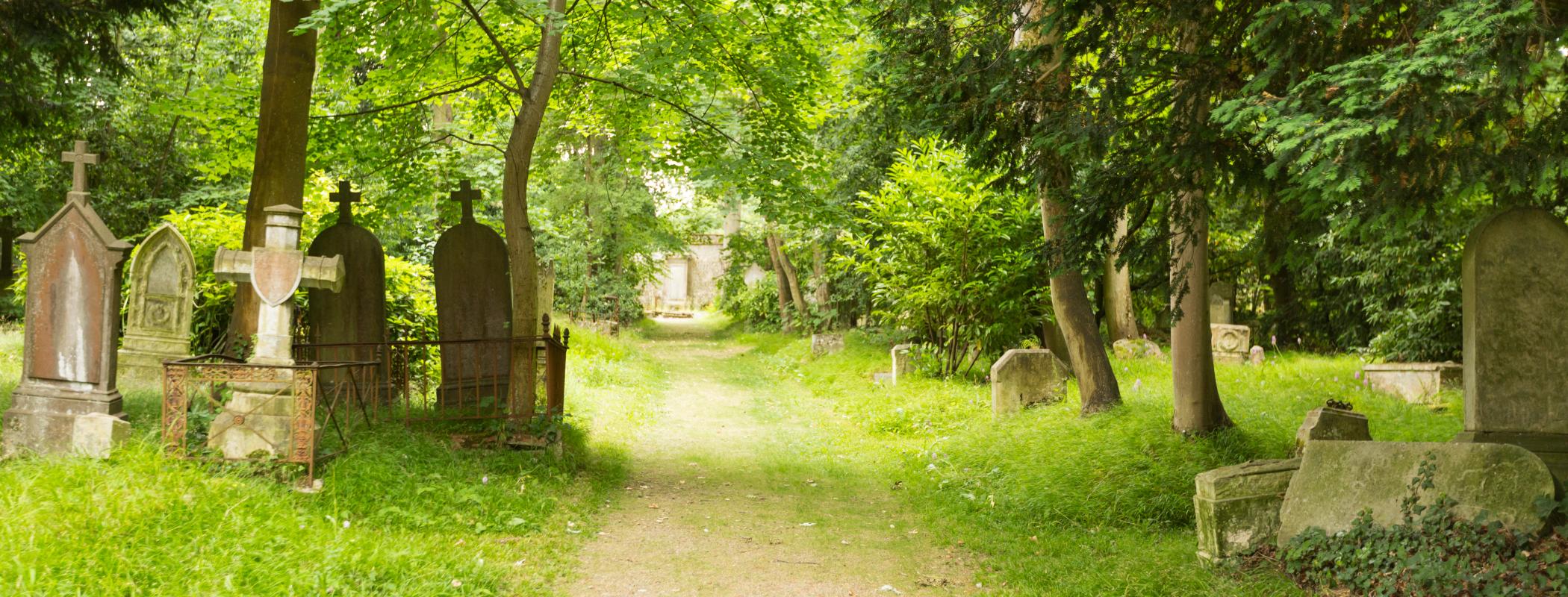 Cimetière des quatre nations d'après Pauline et Mehdi Photographie