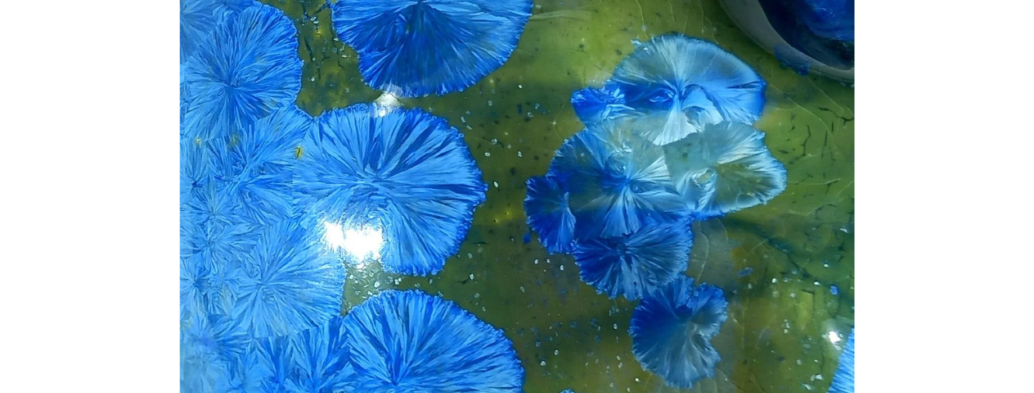 Crismat Unitas Multiplex