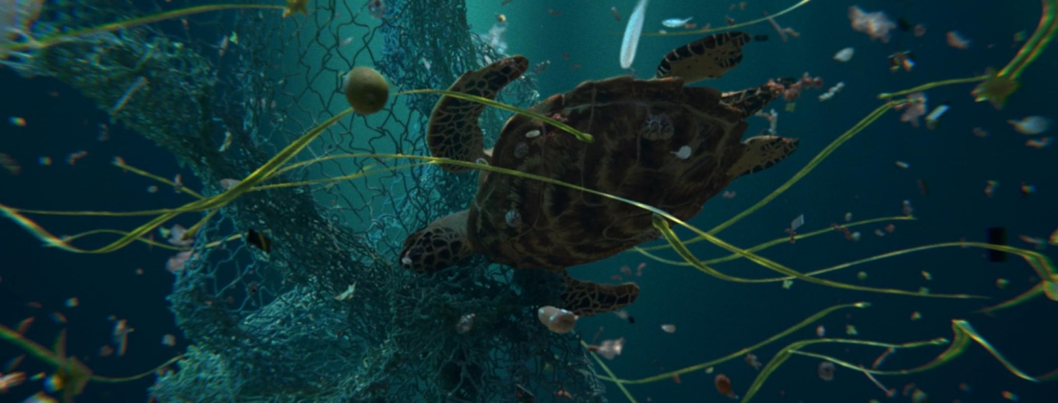 Attila cataracte, ta source aux pieds, des pitons verts, finira dans la grande mer, gouffre bleu, nous nous noyâmes, dans les larmes marées, de la lune, Tortue marine, 2024