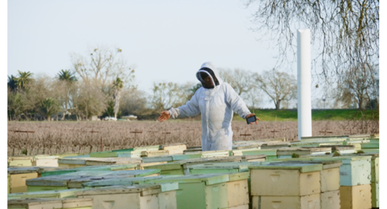 Festival Altérités