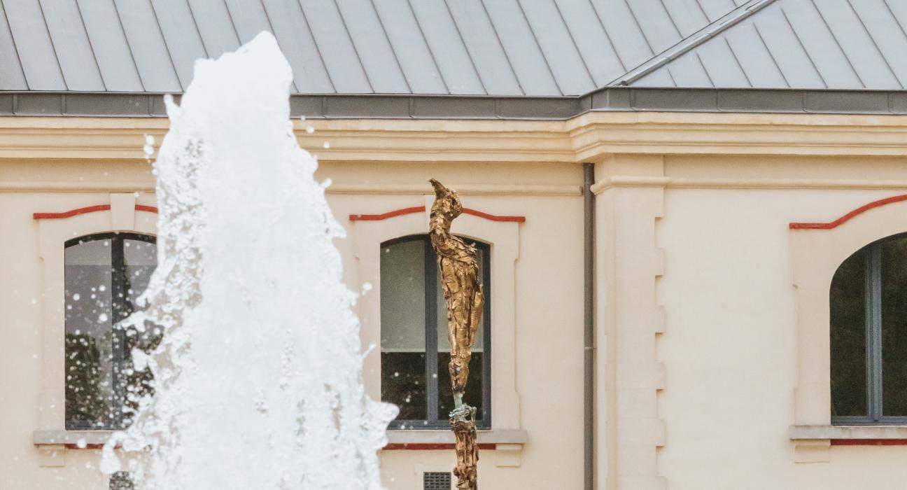 Champ d'oiseau d'après Cécile Schuhmann