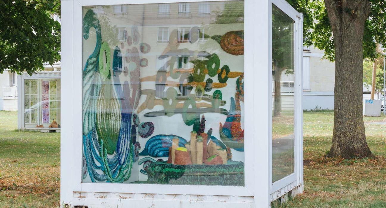 Cultures in vitro d'après Cécile Schuhmann