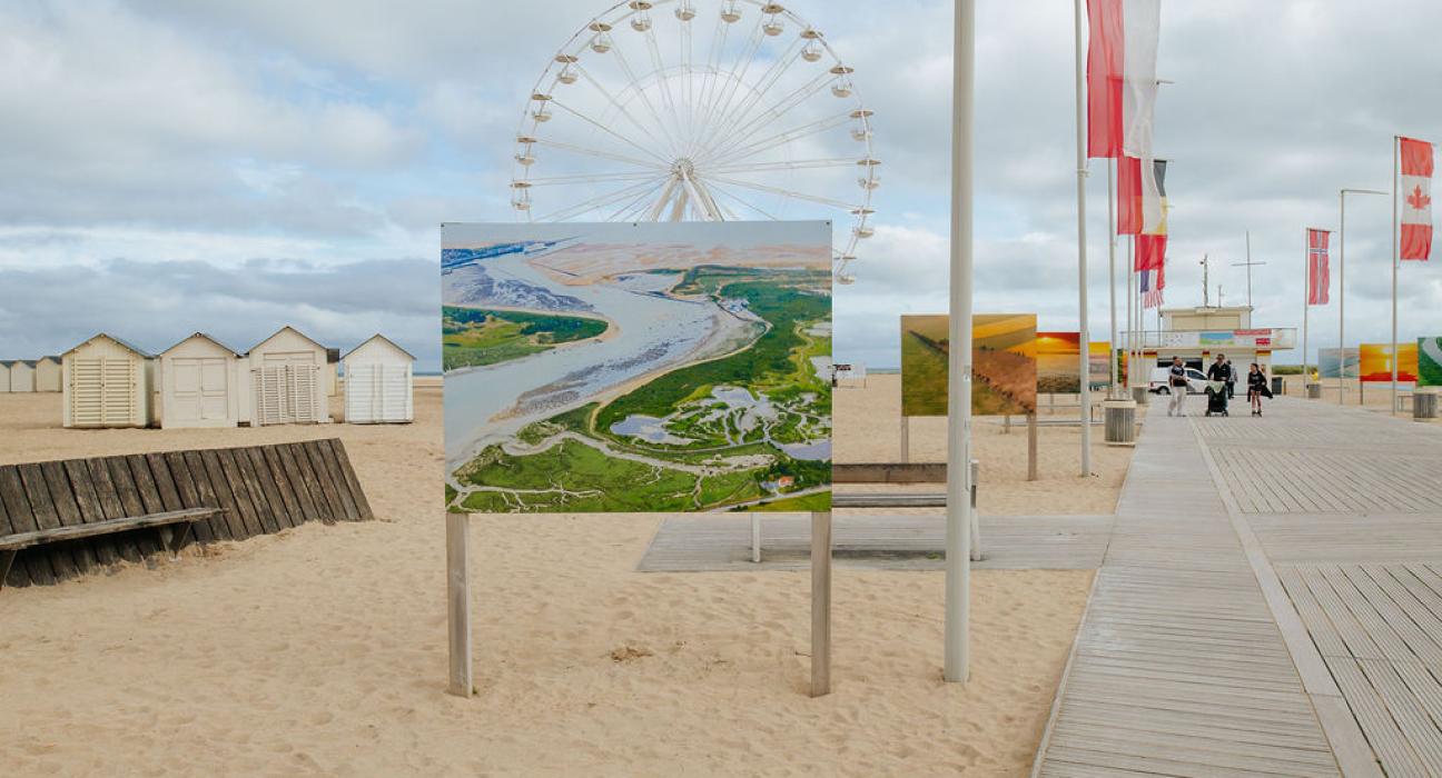 Caen et sa région d'après Cécile Schuhmann