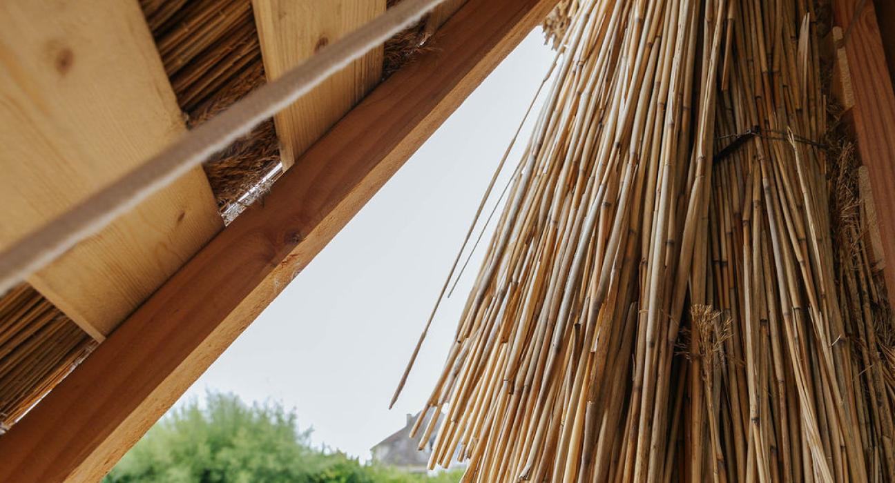 Océan Mer d'après Cécile Schuhmann