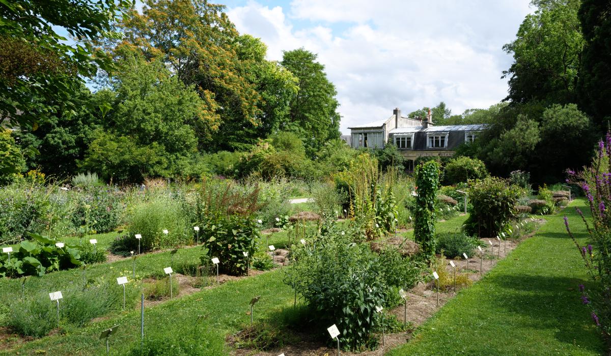 Photo du jardin des plantes/©François DECAENS
