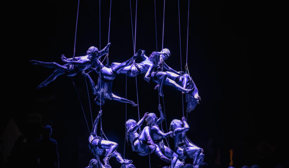 ©Valeria Seznam - Aquanauts