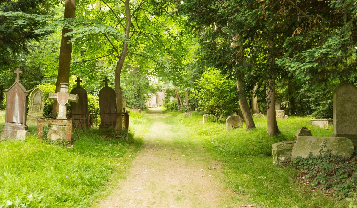 Cimetière des quatre nations d'après Pauline et Mehdi Photographie