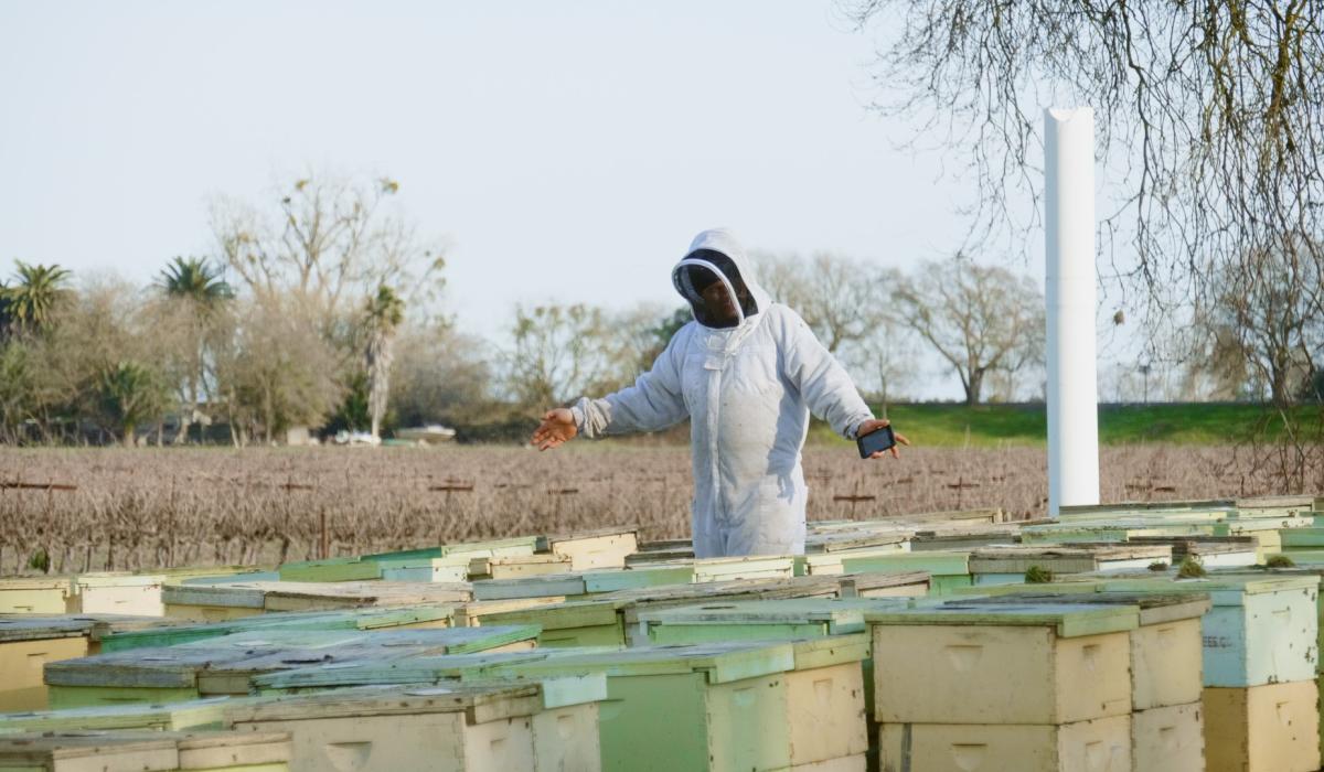 Photo d'après Altérités Globes