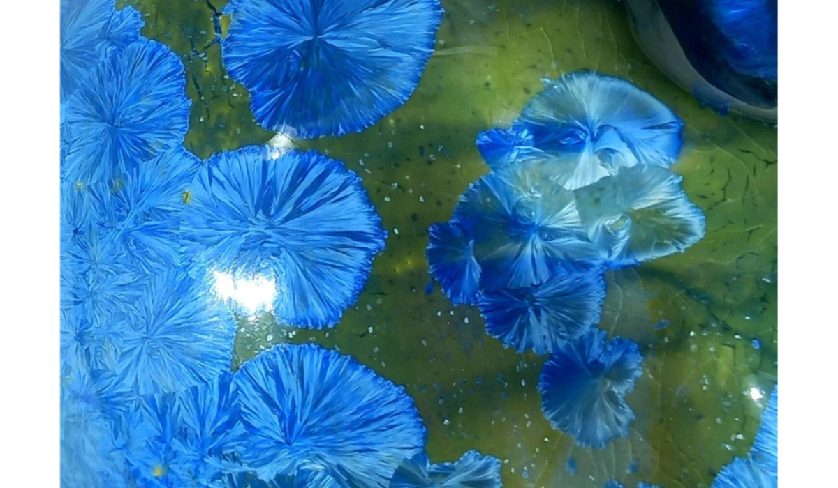 Crismat Unitas Multiplex