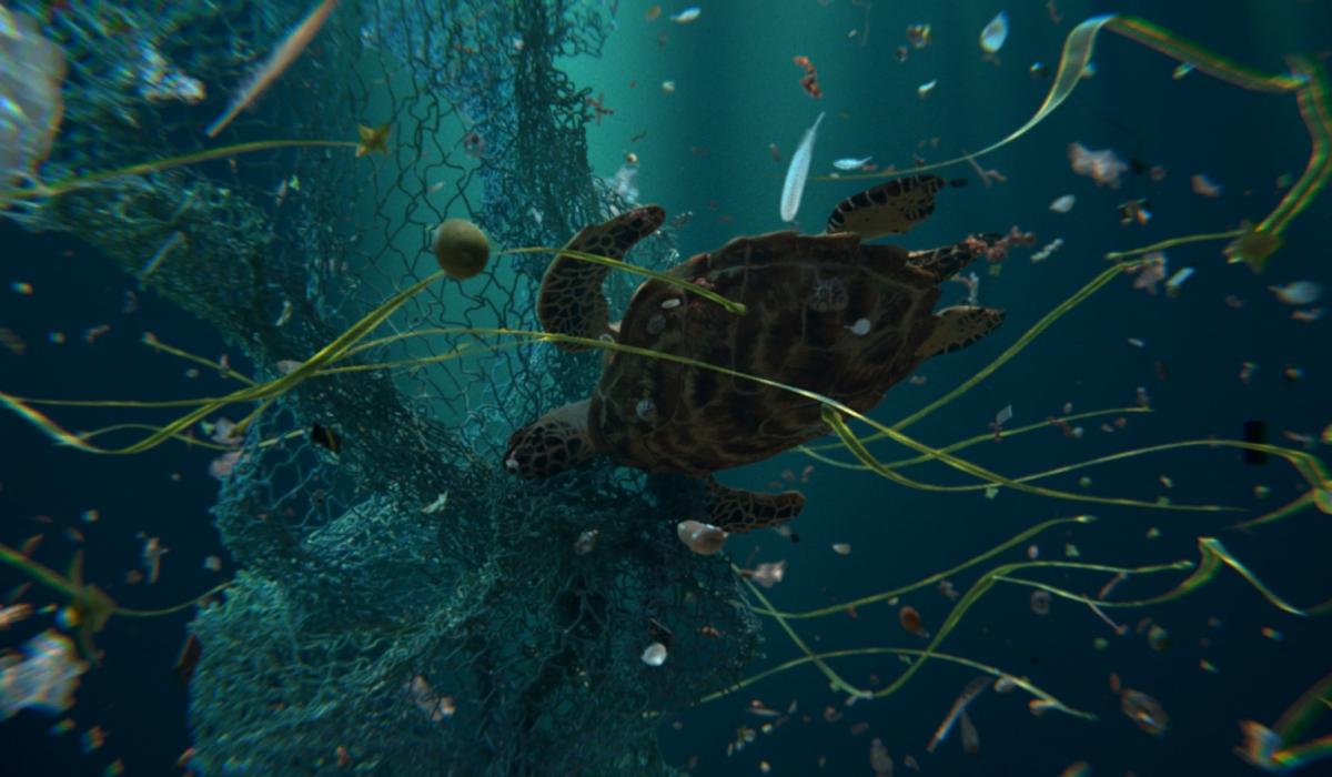 Attila cataracte, ta source aux pieds, des pitons verts, finira dans la grande mer, gouffre bleu, nous nous noyâmes, dans les larmes marées, de la lune, Tortue marine, 2024