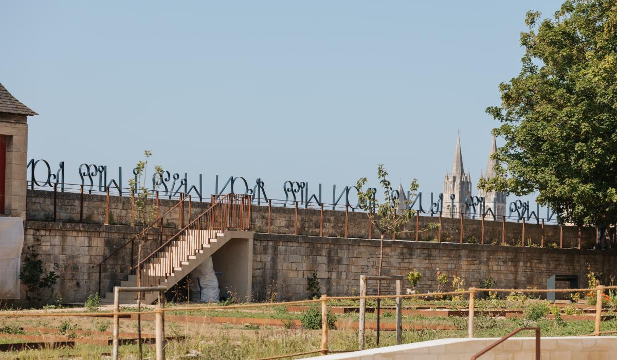 Iron Will d'après Cécile Schuhmann